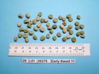 Click for 3 image(s) for this accession. Image